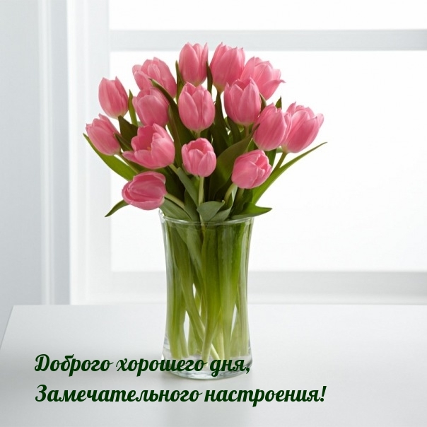 Доброго хорошего дня, Замечательного настроения!