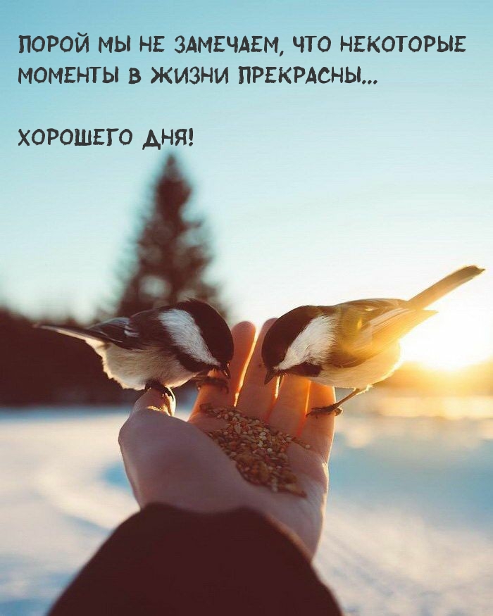 Порой мы не замечаем, что некоторые моменты — прекрасны