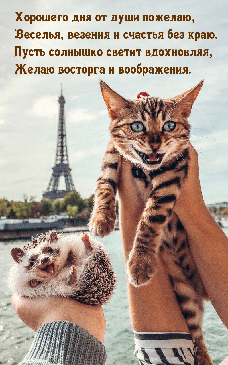 Хорошего дня от души пожелаю!