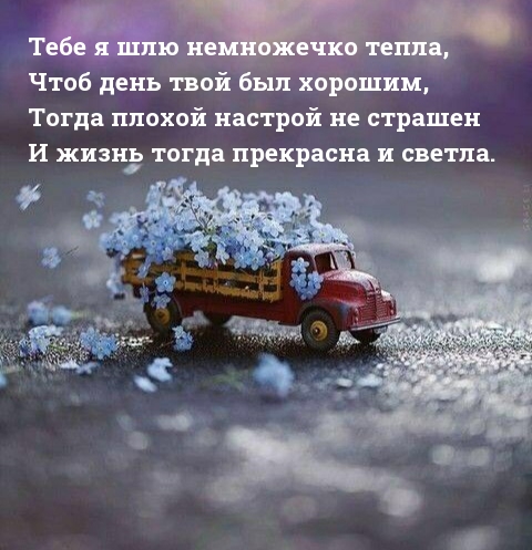 Тебе я шлю немножечко тепла