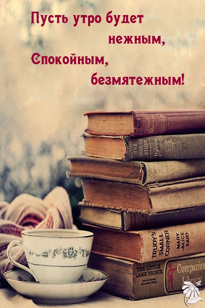 Пусть утро будет нежным, спокойным, безмятежным!