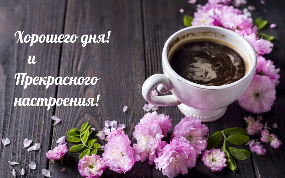 Хорошего дня! и Прекрасного настроения!