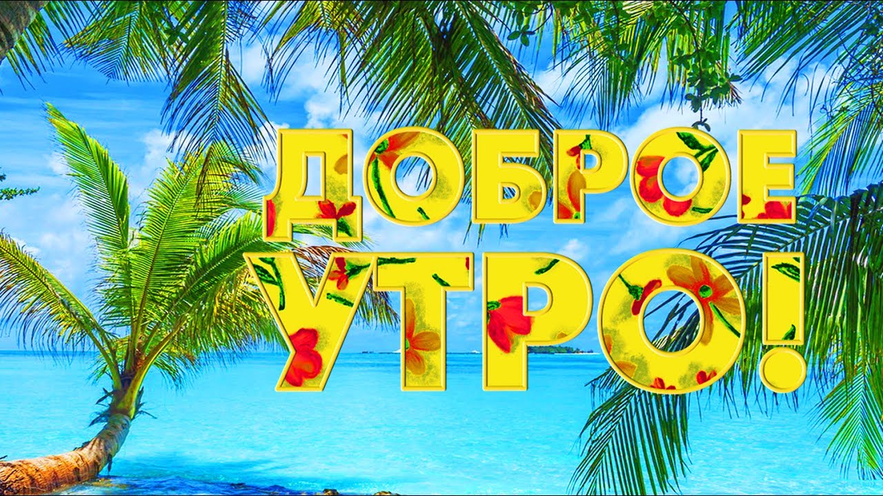 Доброе утро!
