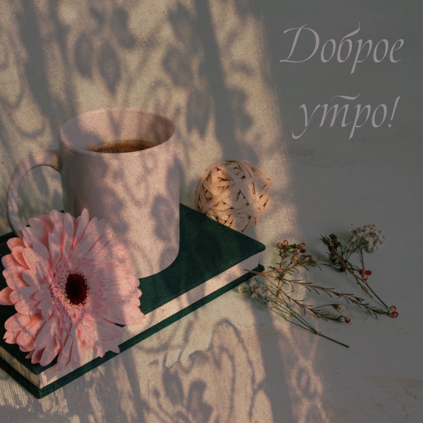 Доброе утро!