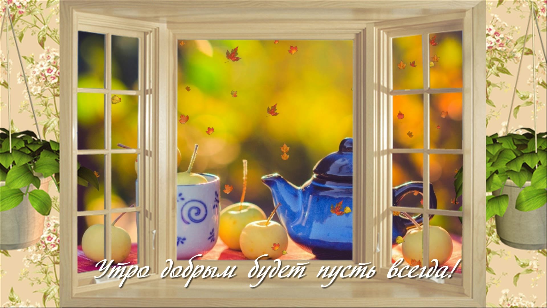 Утро добрым пусть будет всегда!