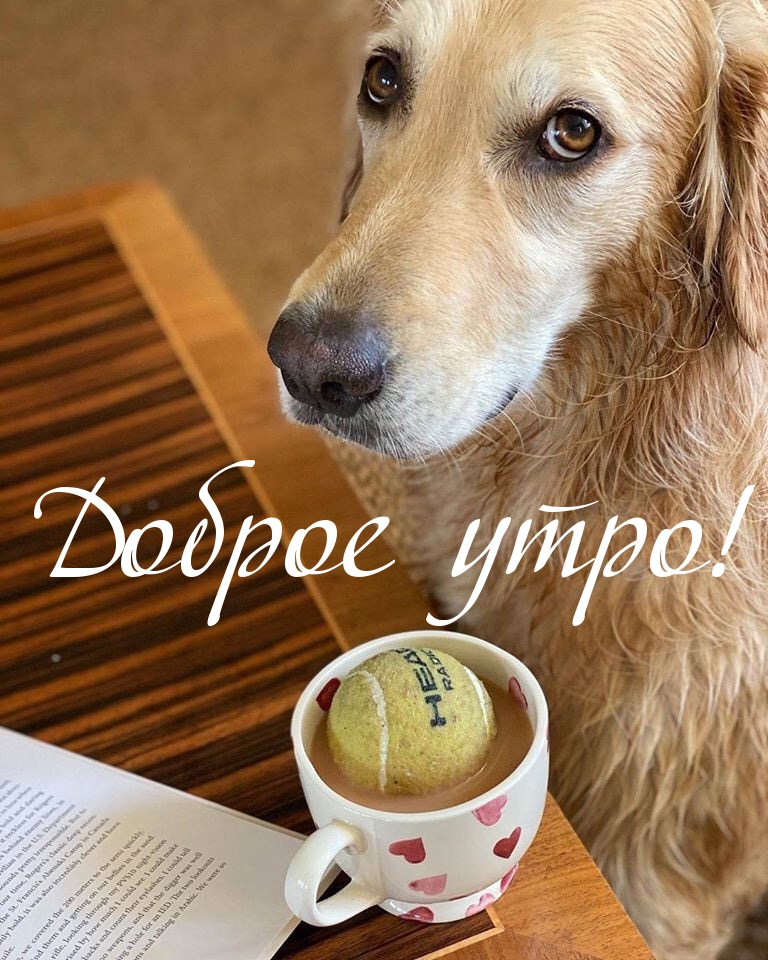 Доброе утро!