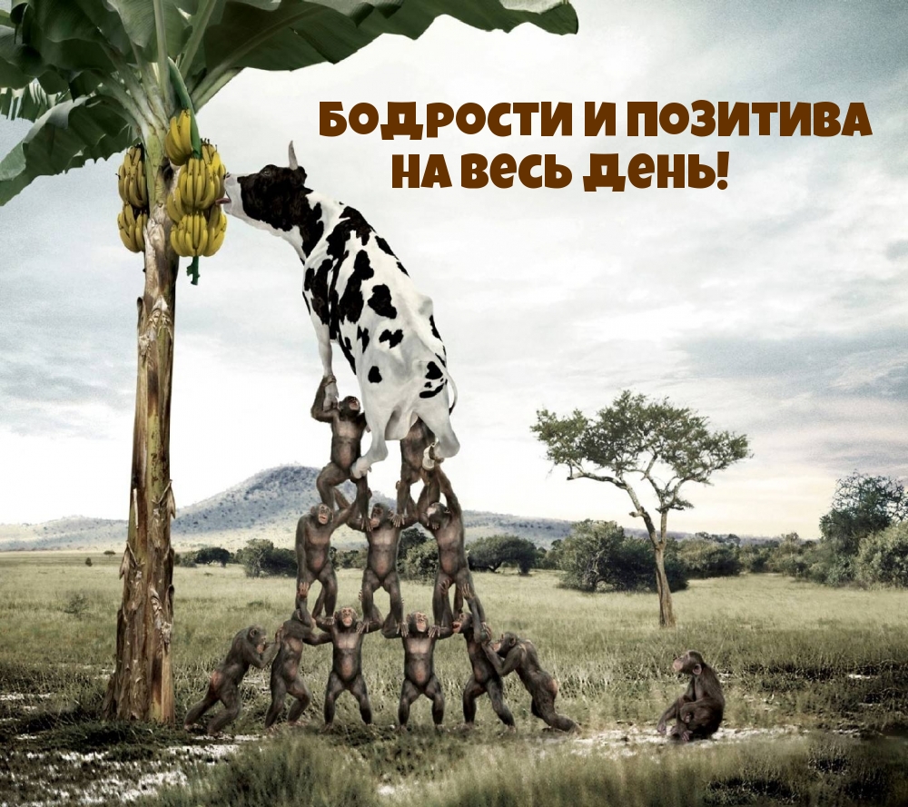 бодрости и позитива на весь день!