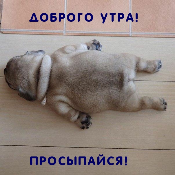 Доброго утра! Просыпайся!