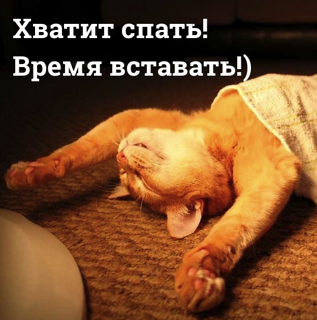 Хватит спать! Время вставать!)