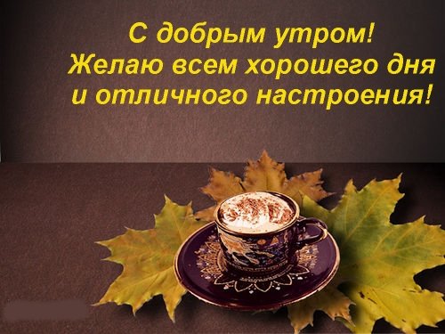 С добрым утром! Хорошего дня! Отличного настроения!