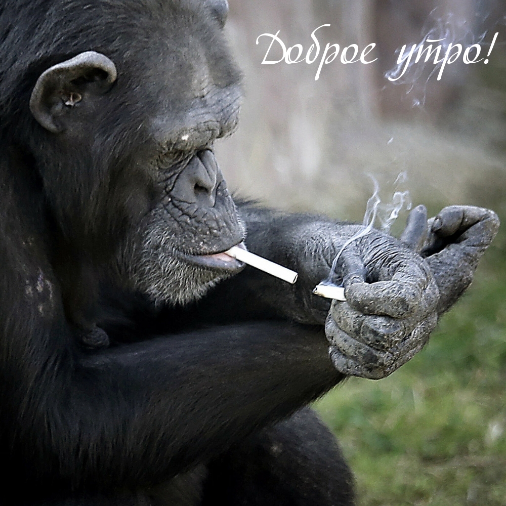 Доброе утро!