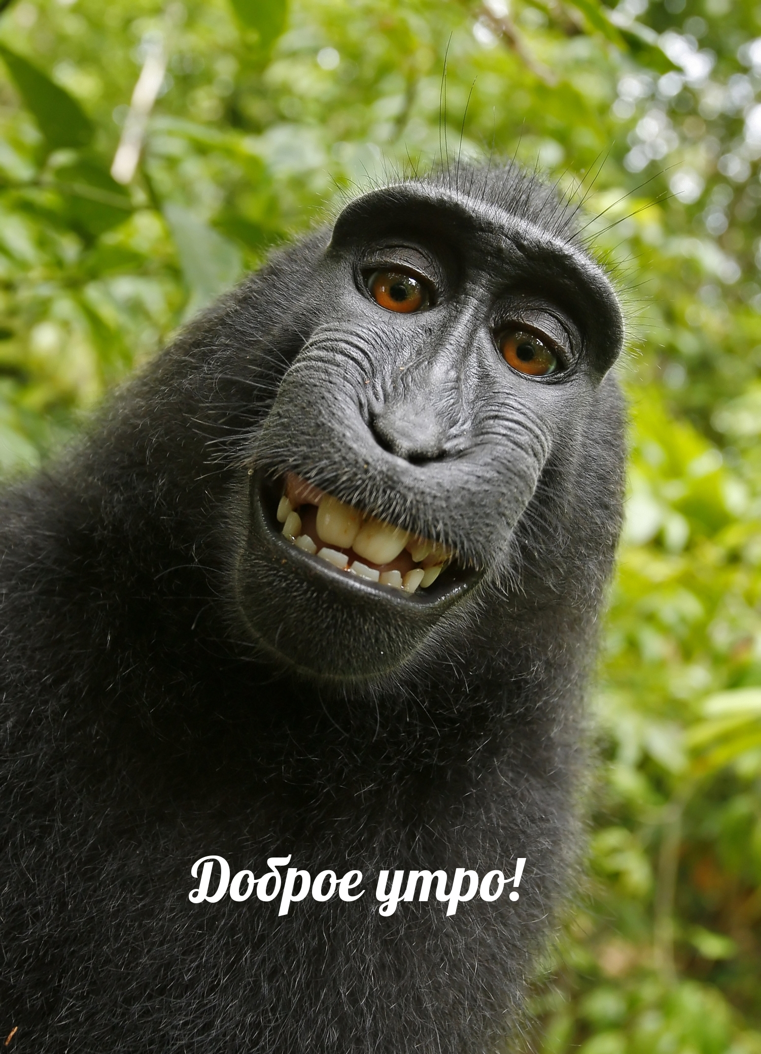 Доброе утро!