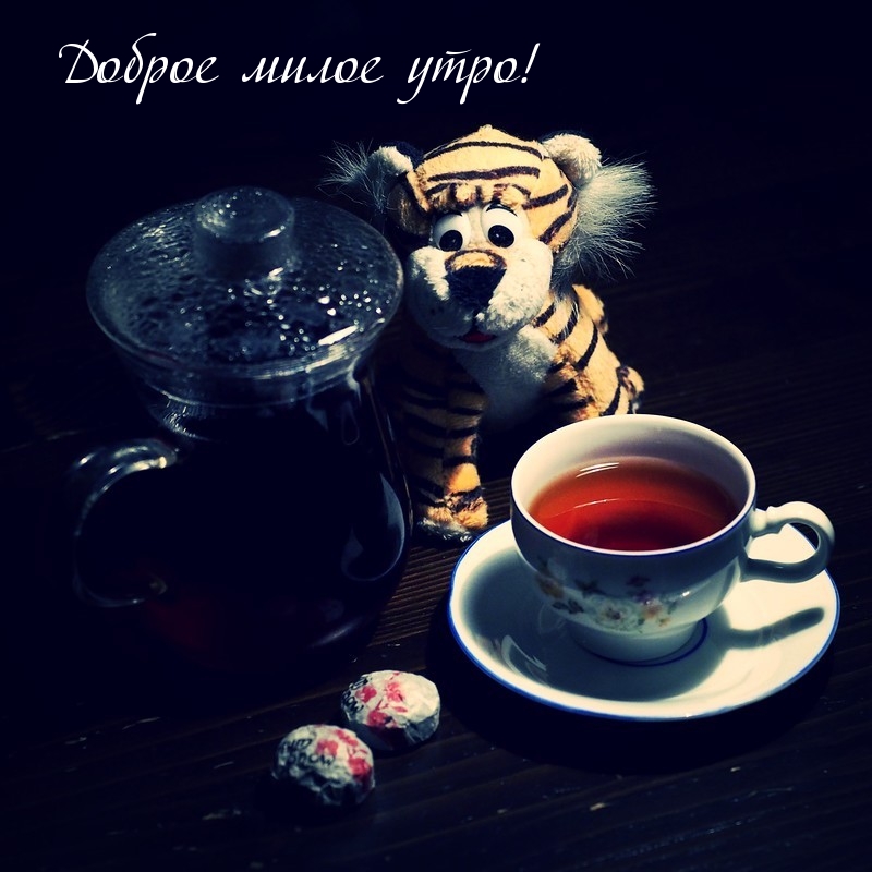 Доброе милое утро!