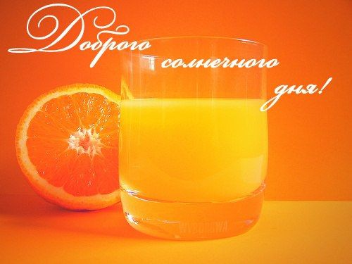 Доброго солнечного дня!