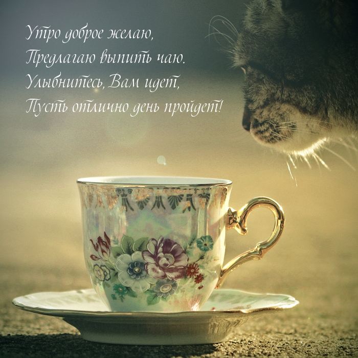 Утро доброе желаю!