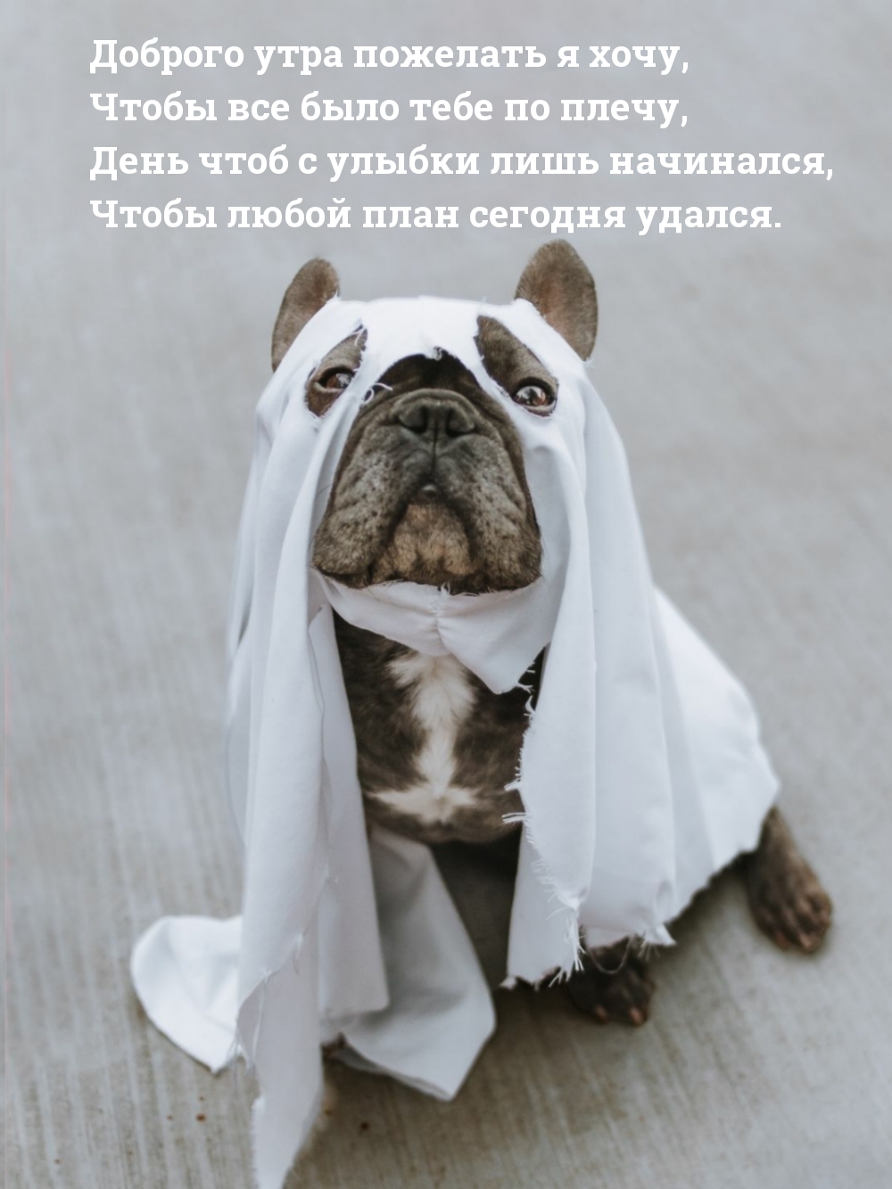 Доброго утра пожелать я хочу!