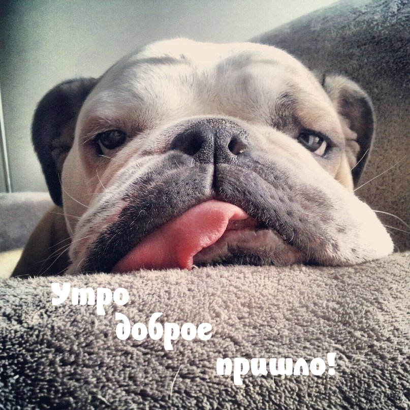Утро доброе пришло!