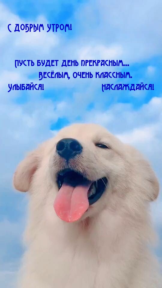 Пусть будет день прекрасным!