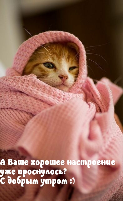 А Ваше хорошее настроение уже проснулось?