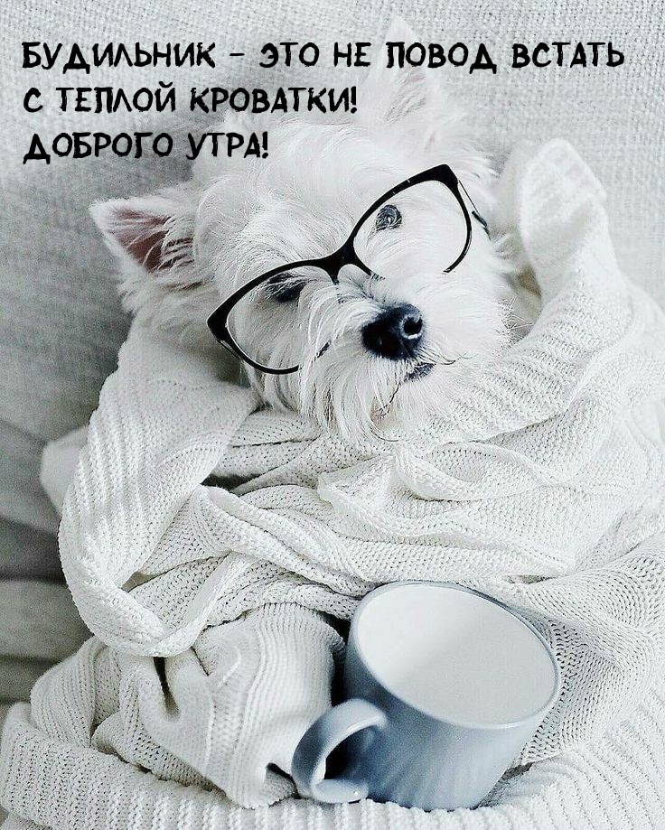 Будильник — это не повод встать