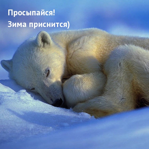 Просыпайся! Зима приснится)
