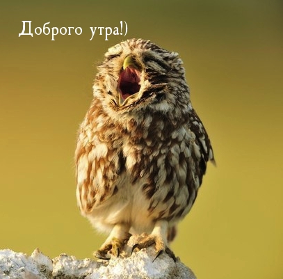 Доброго утра!)