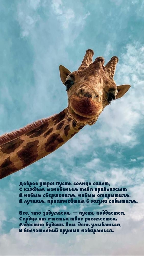 Доброе утро! Пусть солнце сияет