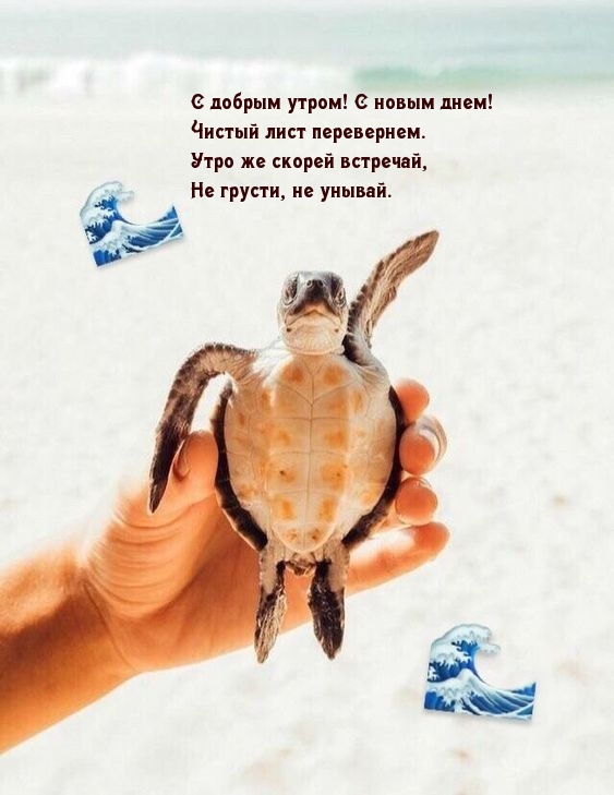 С добрым утром! С новым днем!