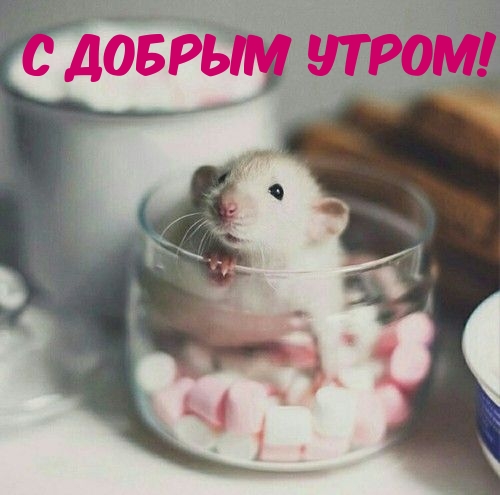С добрым утром!