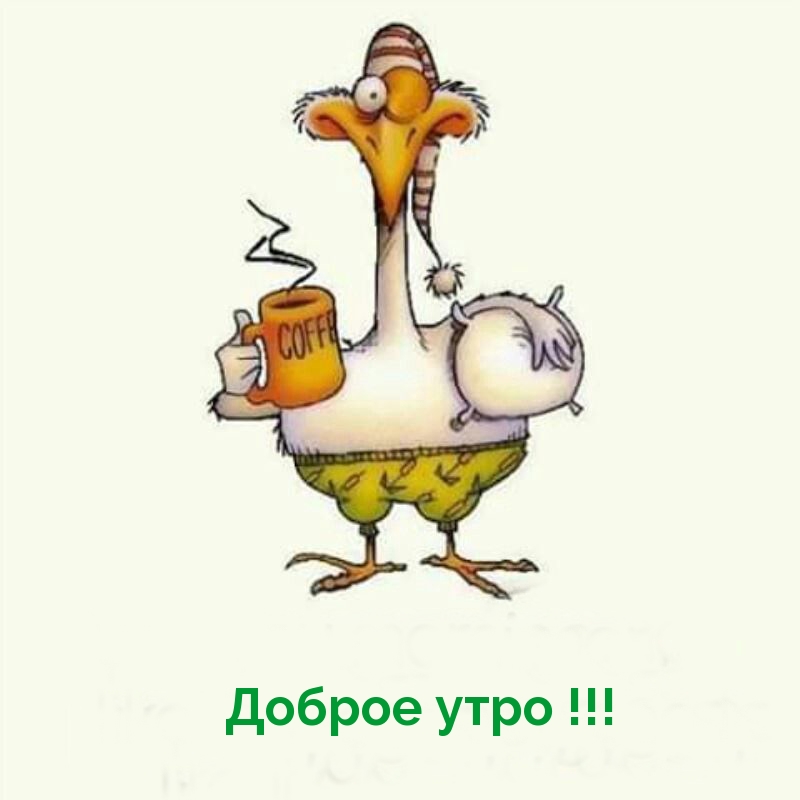 Доброе утро!