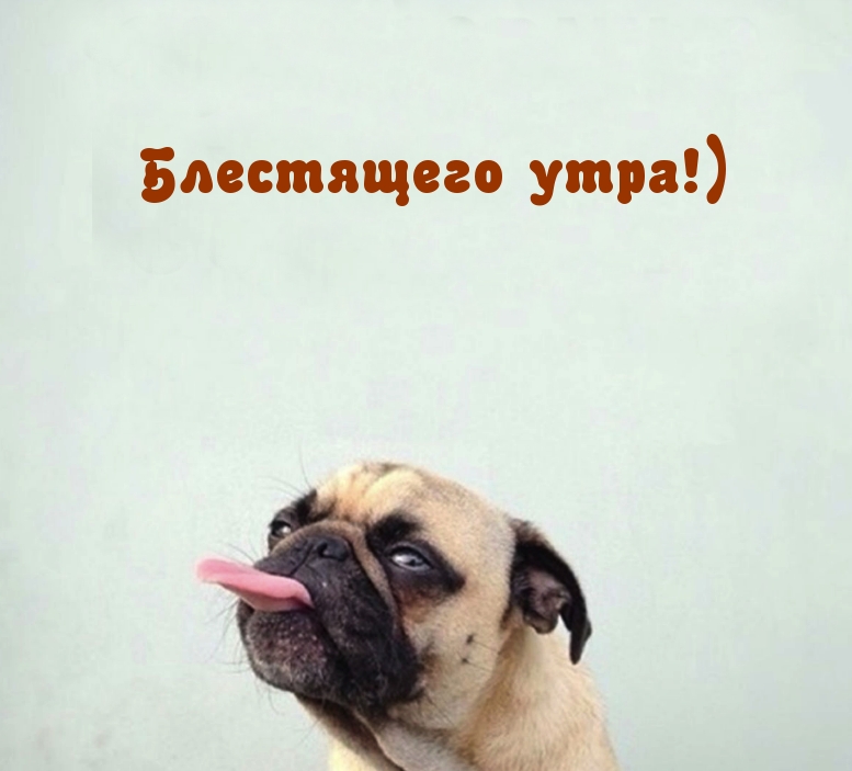 Блестящего утра!)