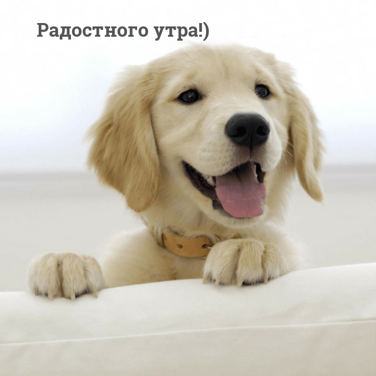 Радостного утра!)