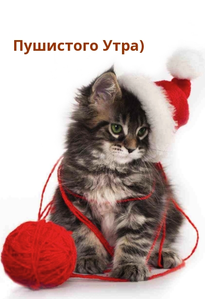 Пушистого Утра)