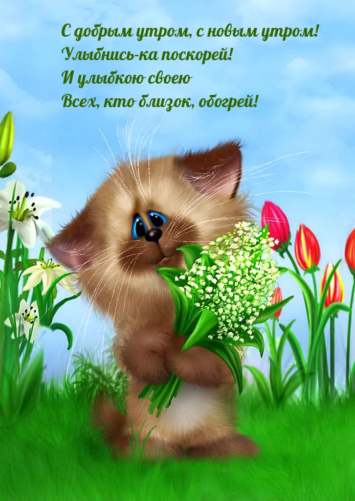 С новым утром! Улыбнись-ка поскорей!