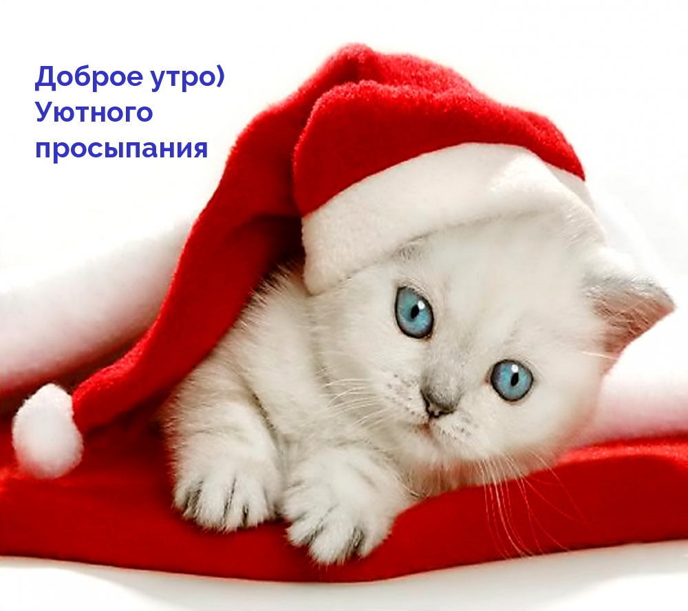 Доброе утро) Уютного просыпания