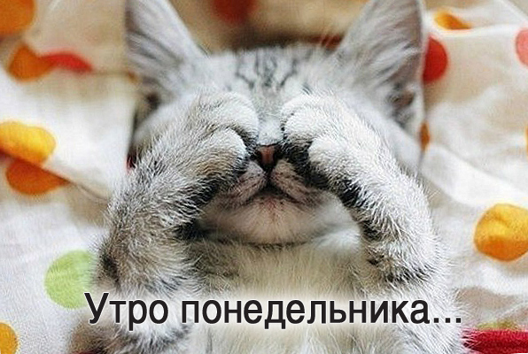 Утро понедельника…