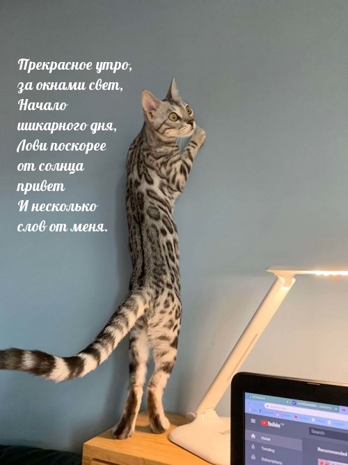 Прекрасное утро, за окнами свет