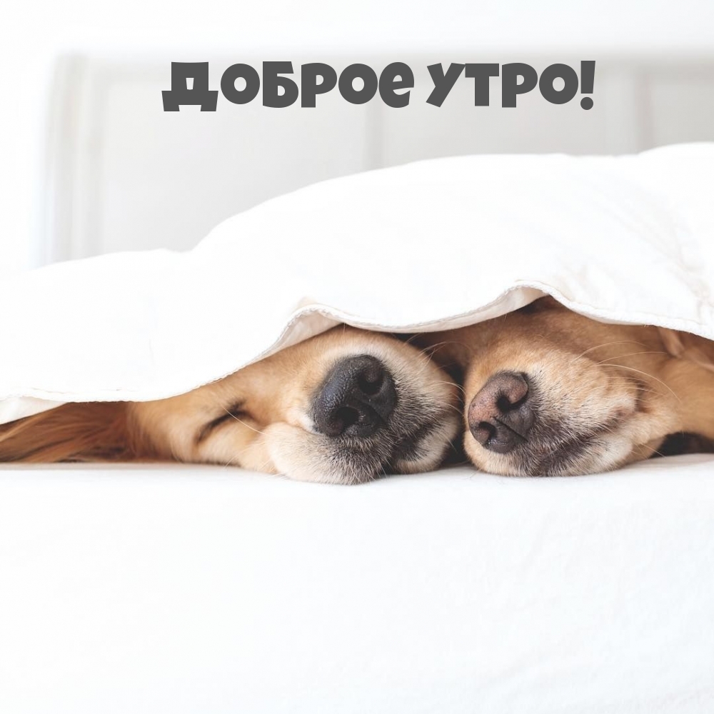 Доброе утро!