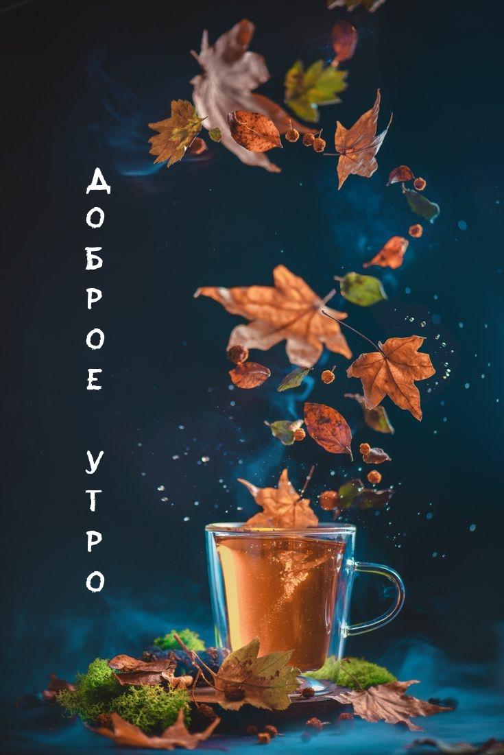 Д О Б Р О Е У Т Р О