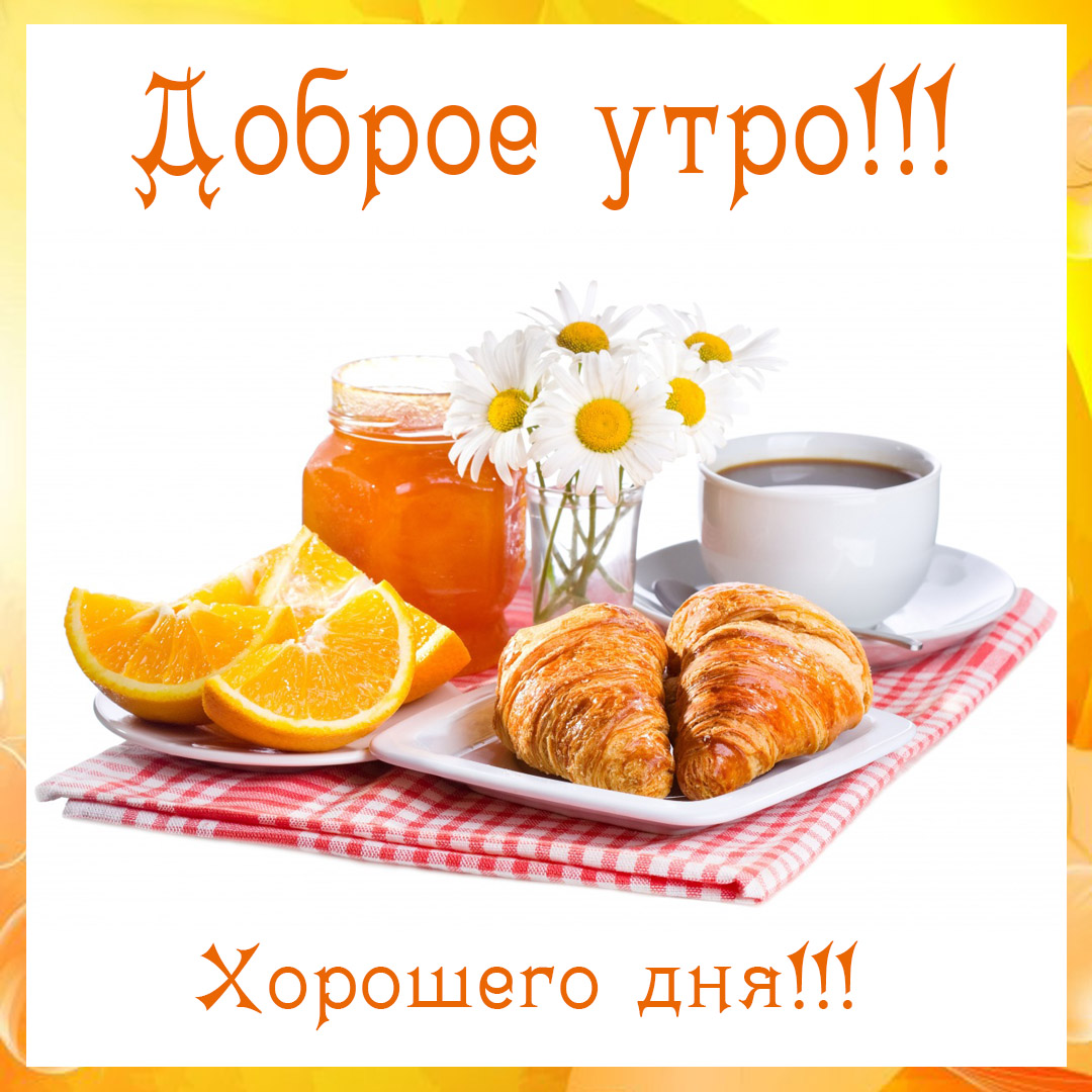 Доброе утро! Хорошего дня!