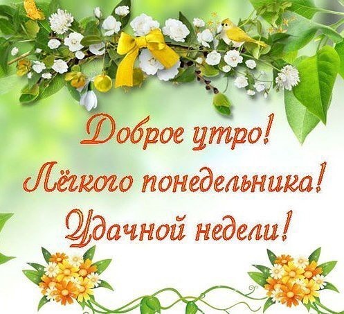 Доброе утро! Легкого понедельника! Удачной недели!