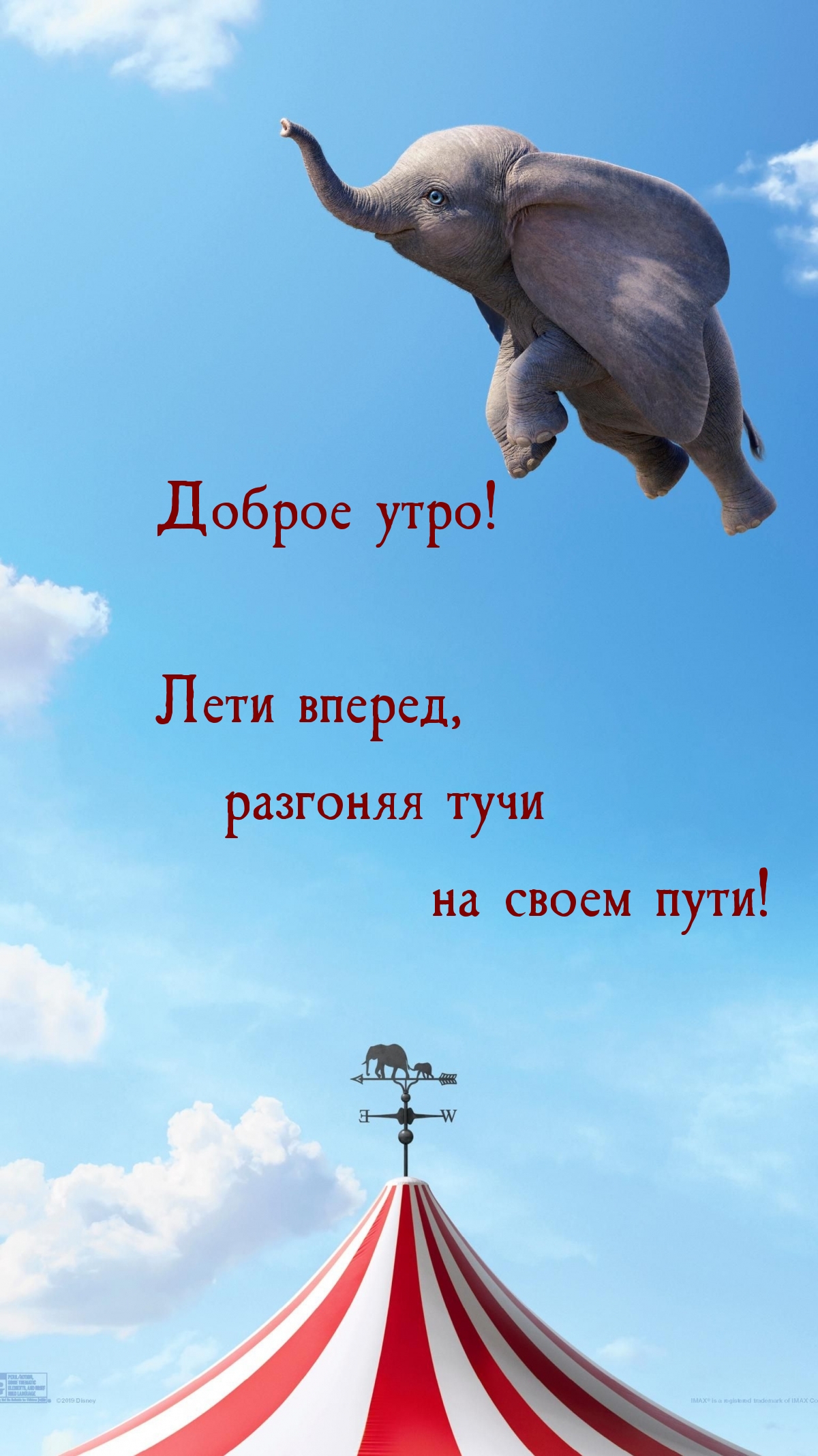 Доброе утро! Лети вперед, разгоняя тучи