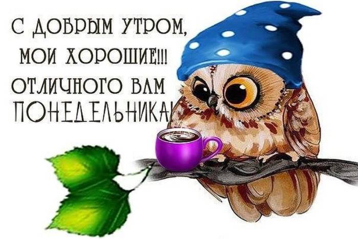 С добрым утром, мои хорошие, отличного понедельника!