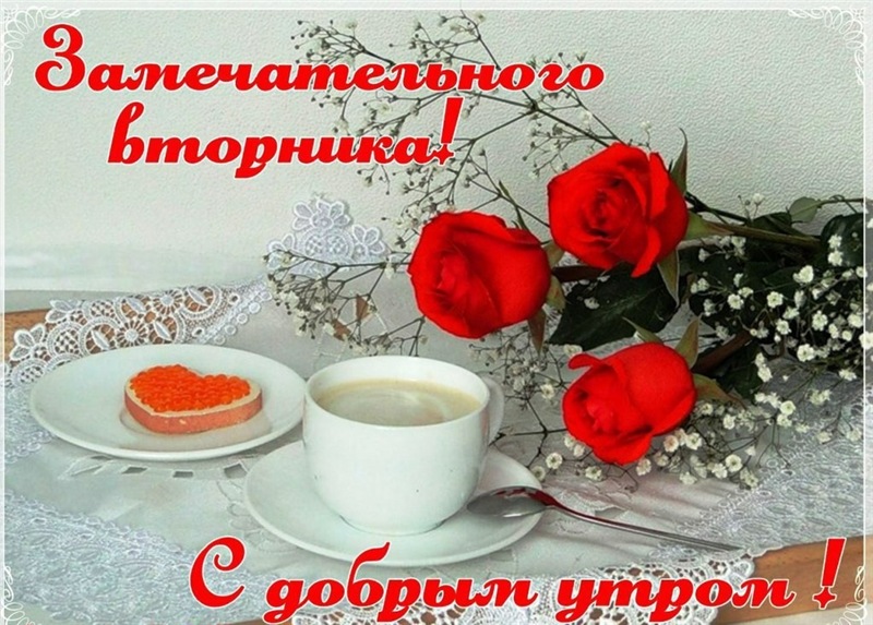 Замечательного вторника! С добрым утром!