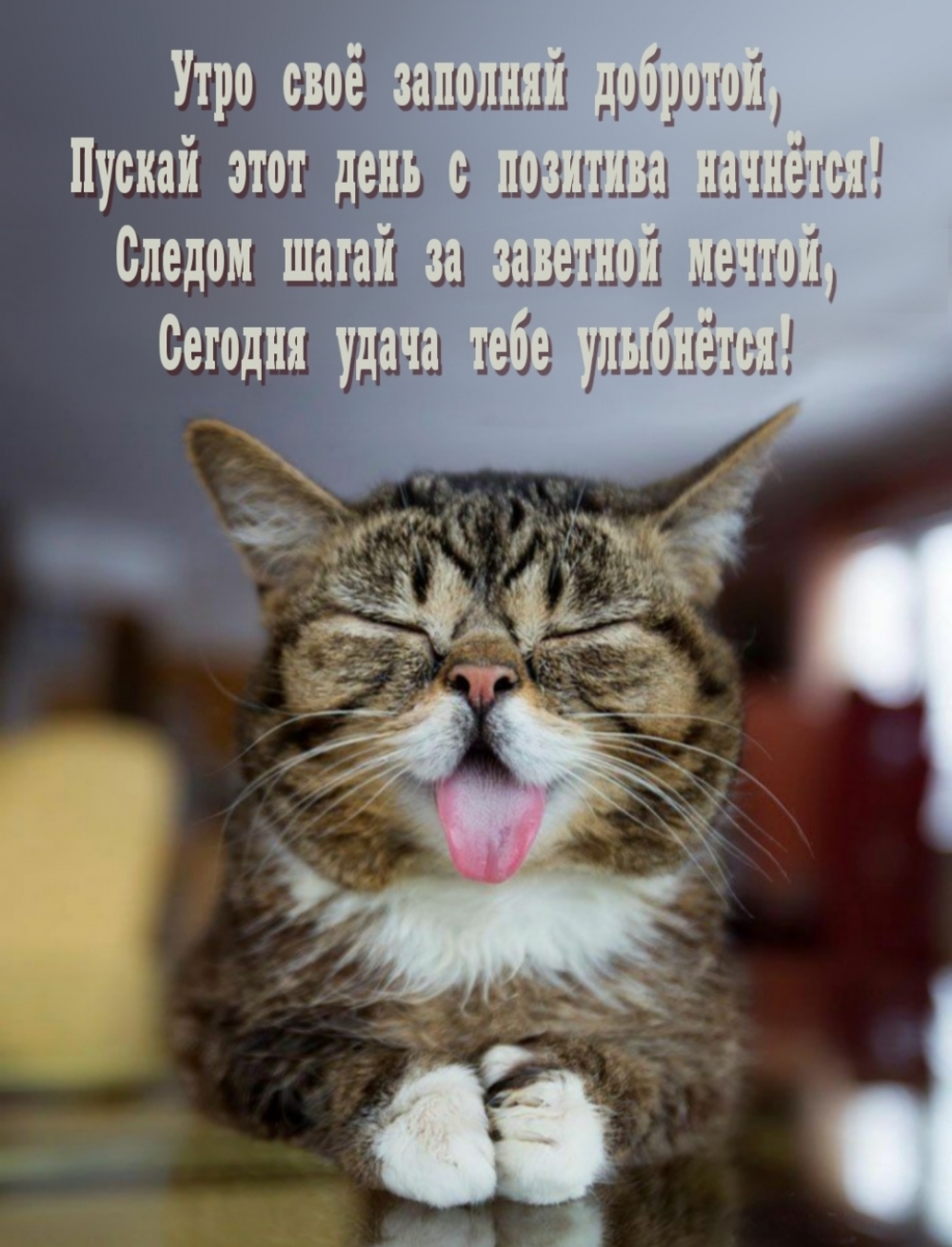 Пускай этот день с позитива начнётся!