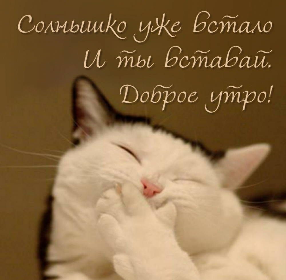 Солнышко уже встало И ты вставай. Доброе утро!