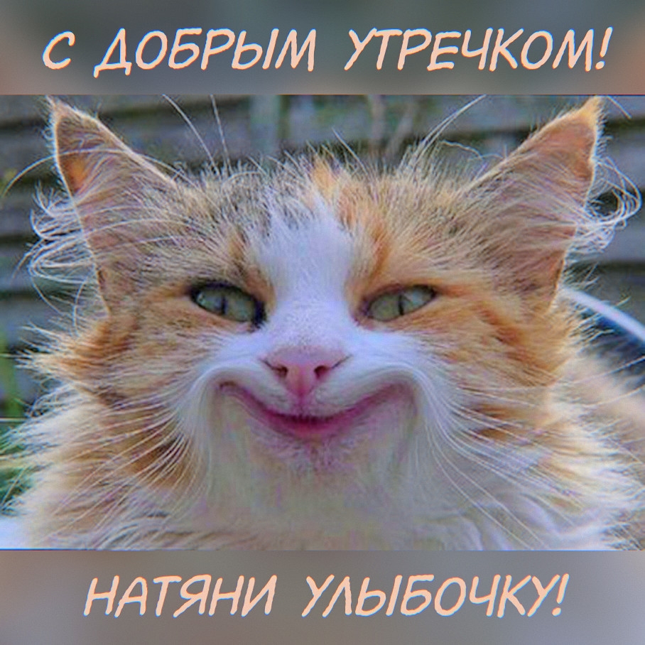 С добрым утречком! Натяни улыбочку!