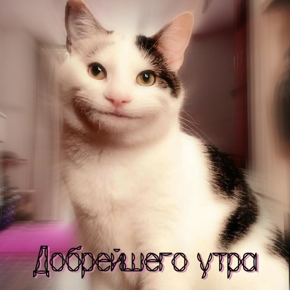 Добрейшего утра