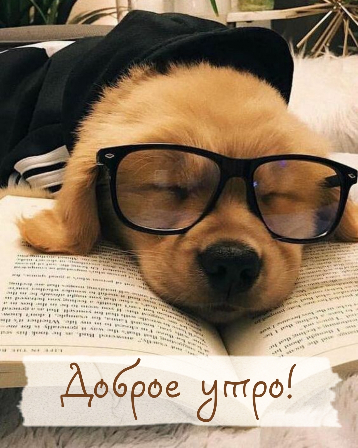 Доброе утро!