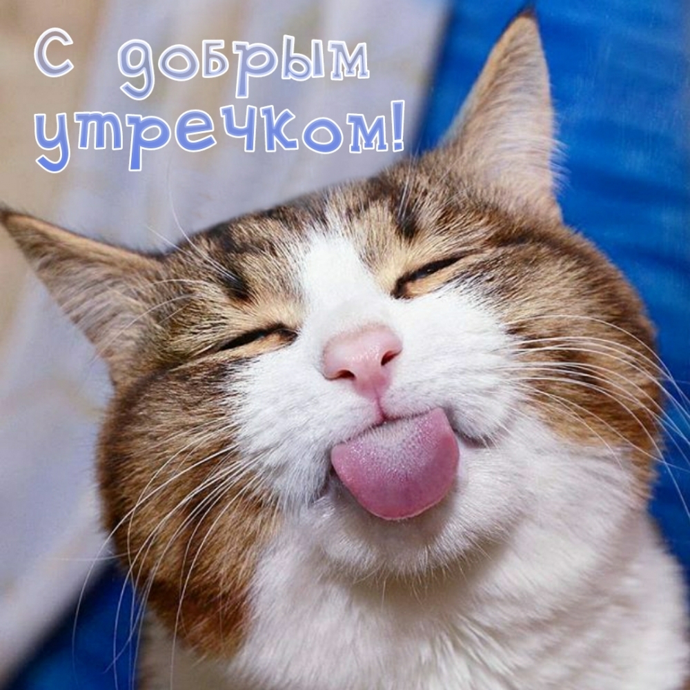 С добрым утречком!